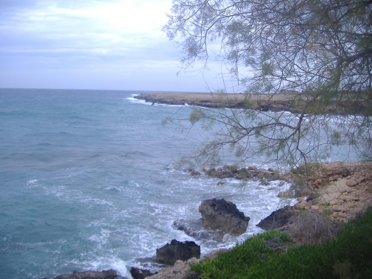 Theresa Hotel At Karpaz Peninsula Agia Trias Екстериор снимка
